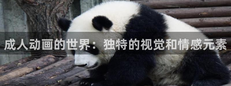 汗汗漫画免费在哪里看:成人动画的世界:独特的视觉和情感元素配图