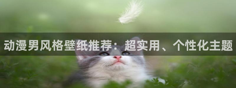 汗汗漫画在线哪里看:动漫男风格壁纸推荐:超实用、个性化主题配图