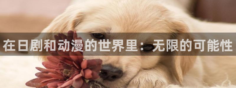 汗汗漫画阅读完整版:在日剧和动漫的世界里:无限的可能性配图