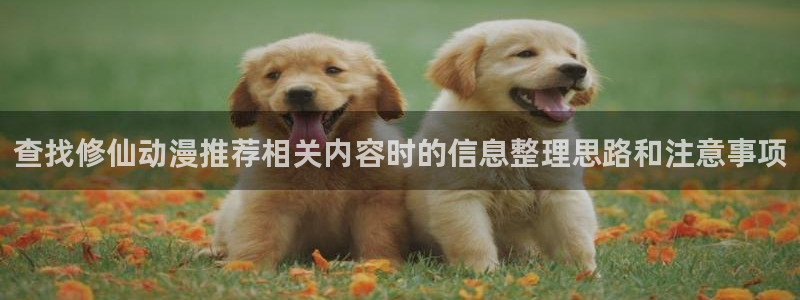 汗汗漫画章节阅读:查找修仙动漫推荐相关内容时的信息整理思路和注意事项配图