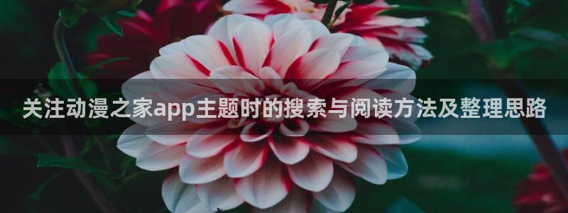 汗汗漫画近期更新:关注动漫之家app主题时的搜索与阅读方法及整理思路配图