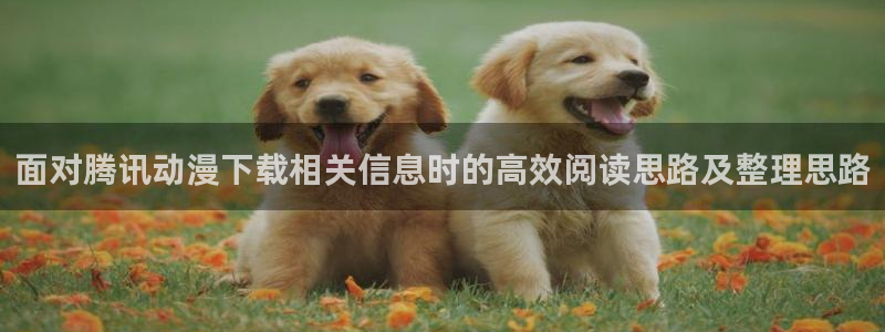 汗汗漫画经典推荐:面对腾讯动漫下载相关信息时的高效阅读思路及整理思路配图