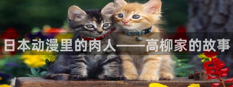 汗汗漫画大全高清版:日本动漫里的肉人——高柳家的故事配图